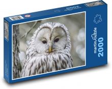 Velká bílá sova Puzzle 2000 - 90x60 cm