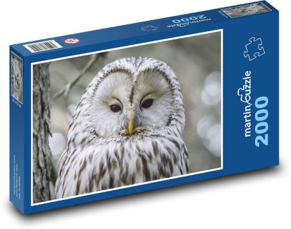 Velká bílá sova - puzzle 2000 dílků
