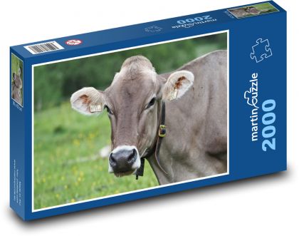 Kráva na horské louce - puzzle 2000 dílků