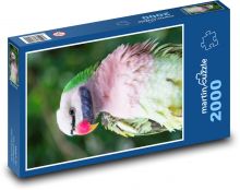 Kolorowa papuga Puzzle 2000 elementów - 90x60 cm
