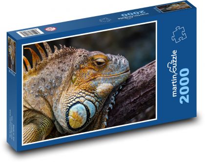 Unavený leguán na větvi - puzzle 2000 dílků