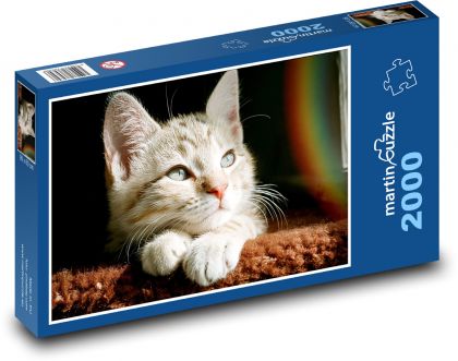 Cute little kitten - Puzzle 2000 pieces, size 90x60 cm 