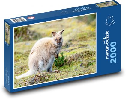 Klokaní mládě v zoo - puzzle 2000 dílků