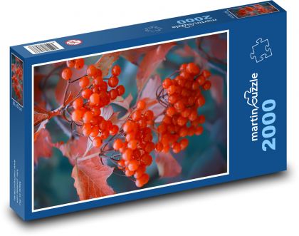 Kalina czerwone jagody - Puzzle 2000 elementów, rozmiar 90x60 cm