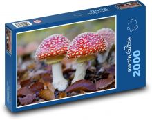Jeseň muchomůrka červená Puzzle 2000 dielikov - 90 x 60 cm