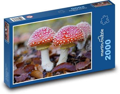 Jeseň muchomůrka červená - Puzzle 2000 dielikov, rozmer 90x60 cm 