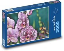 Růževé květy orchideje Puzzle 2000 - 90x60 cm