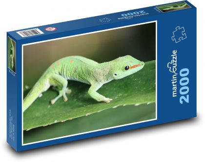 Gekón zelený - Puzzle 2000 dielikov, rozmer 90x60 cm 