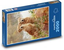 Dvaja zlatí retrieveri Puzzle 2000 dielikov - 90 x 60 cm