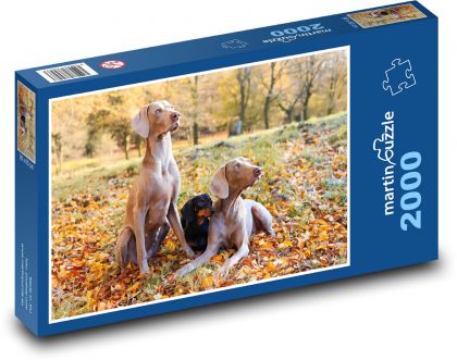 Jamnik w towarzystwie kłusowników myśliwskich - Puzzle 2000 elementów, rozmiar 90x60 cm