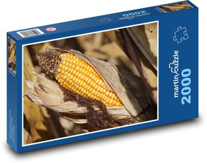 Zlaté klasy kukuřice - puzzle 2000 dílků