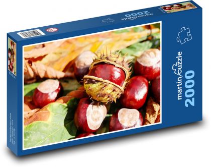 Autumn symbol - chestnut - Puzzle 2000 pieces, size 90x60 cm 