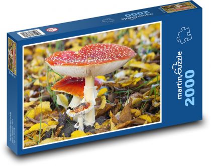 Forest mushroom stock - Puzzle 2000 pieces, size 90x60 cm 