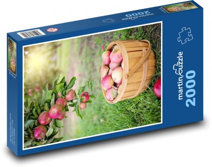 Jesienne zbiory jabłek - Puzzle 2000 elementów, rozmiar 90x60 cm