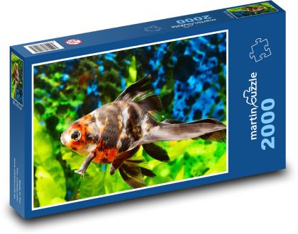Aquarienfische im Aquarium - Puzzle - 2000 Teile