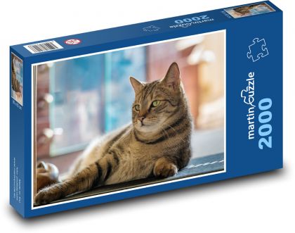 Hauskatze - Puzzle - 2000 Teile