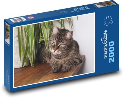 Kot ścienny na stole - Puzzle 2000 elementów, rozmiar 90x60 cm