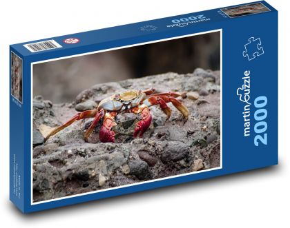 Barevný krab na sopečných kamenech - puzzle 2000 dílků