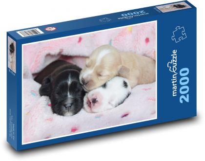 Three sleeping puppies - Puzzle 2000 pieces, size 90x60 cm 