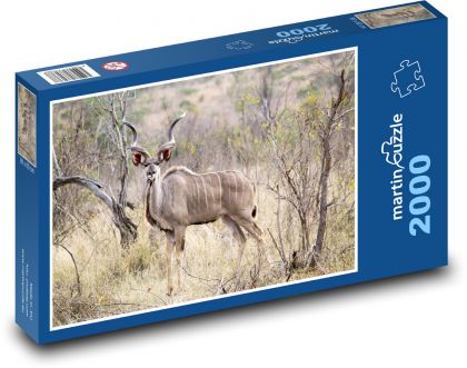 Kudu v africkej savane - Puzzle 2000 dielikov, rozmer 90x60 cm 