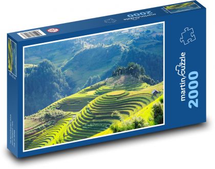 ryžové terasy vo Vietname - Puzzle 2000 dielikov, rozmer 90x60 cm 