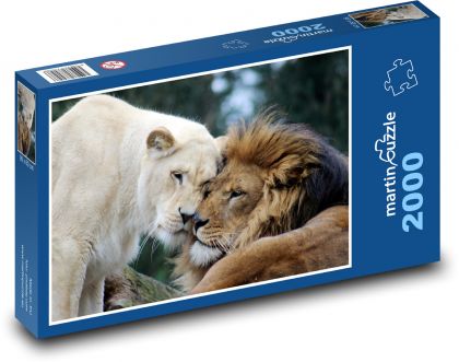 Löwe und Löwin - Puzzle - 2000 Teile