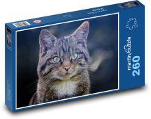 Škótska divoká mačka Puzzle 260 dielikov - 41 x 28,7 cm