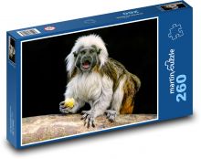 Opice tamarín Puzzle 260 dílků - 41 x 28,7 cm