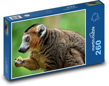 Lemur s jedlom - Puzzle 260 dielikov, rozmer 41x28,7 cm
