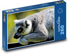 Lemur - Affe Puzzle 260 Teile - 41 x28,7 cm