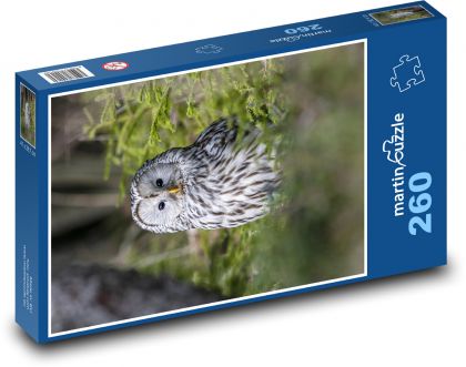 Biela sova - Puzzle 260 dielikov, rozmer 41x28,7 cm