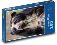 Andský medveď Puzzle 260 dielikov - 41 x 28,7 cm 