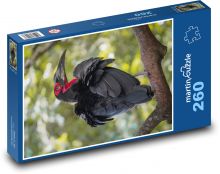 Zahnarzt - schwarzer Vogel Puzzle 260 Teile - 41 x28,7 cm