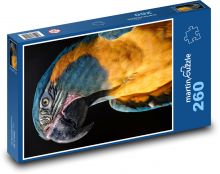 Papuga - ptak Puzzle 260 elementów - 41x28,7 cm