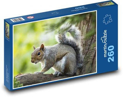 Eichhörnchen auf einem Baum - Puzzle - 260 Teile
