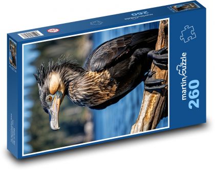 Pták kormorán na řece - puzzle 260 dílků