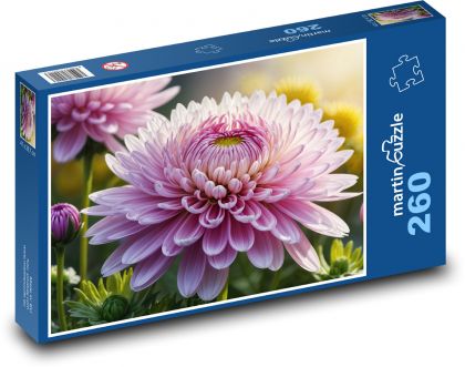 Chryzantéma - zahradní květina - puzzle 260 dílků