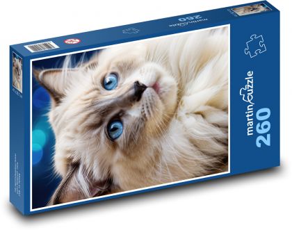Blauäugige Katze - Puzzle - 260 Teile