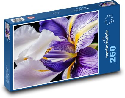 Iris - letný kvet - Puzzle 260 dielikov, rozmer 41x28,7 cm