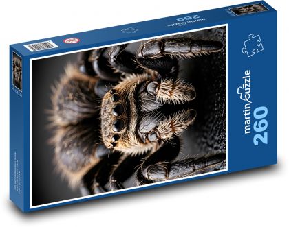 Tarantule - velký pavouk - Puzzle 260 dílků, rozměr 41x28,7 cm
