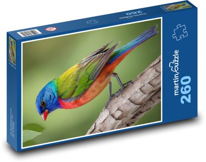 Bunter Vogel - Puzzle - 260 Teile