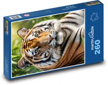 Tiger - feline Puzzle 260 pieces - 41 x 28.7 cm 