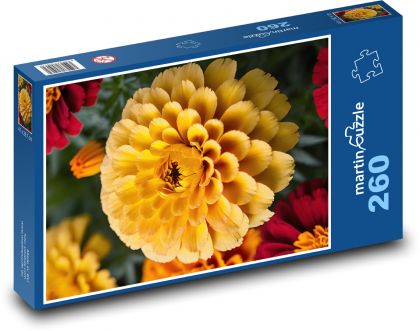 Gelbe Ringelblume - Puzzle - 260 Teile