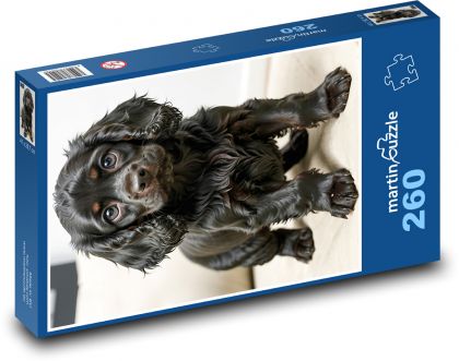 Czarny słodki szczeniaczek - Puzzle 260 elementów, rozmiar 41x28,7 cm