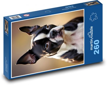 Boston Terrier. - Puzzle - 260 Teile