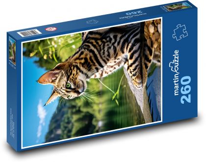 Seekatze - Puzzle - 260 Teile