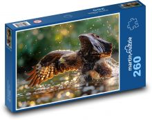 Jestřáb - sokol, pták nad vodou Puzzle 260 dílků - 41 x 28,7 cm