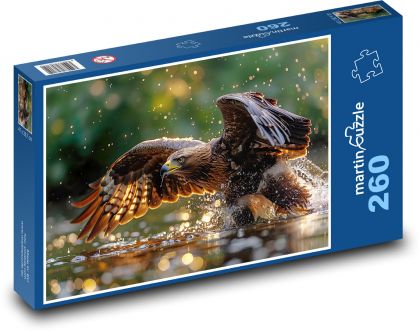 Jestřáb - sokol, pták nad vodou - Puzzle 260 dílků, rozměr 41x28,7 cm