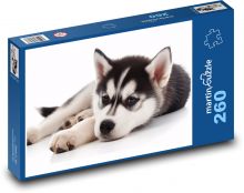 Hund - Welpe, Haustier Puzzle 260 Teile - 41 x28,7 cm