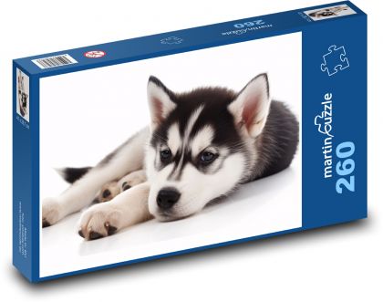 Pes - šteňa, domáce zviera - Puzzle 260 dielikov, rozmer 41x28,7 cm